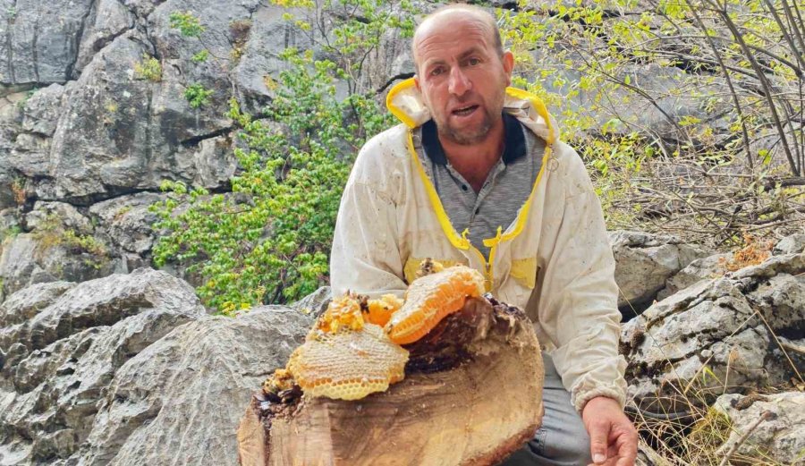 Torosların Bal Avcıları: Kovanlardan Ayrılan Firari Arıları Dedektif Gibi Takip Ediyorlar
