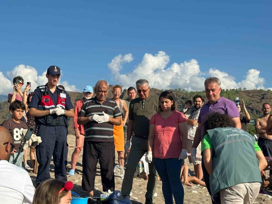 Kemer’de Son Caretta Caretta Yuvası Açıldı