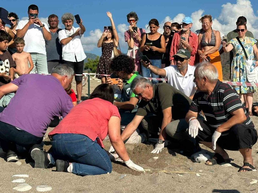Kemer’de Son Caretta Caretta Yuvası Açıldı