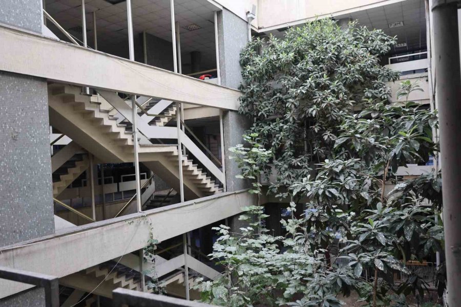 İş Hanının Ortasındaki Ağaçlar Dikkat Çekiyor