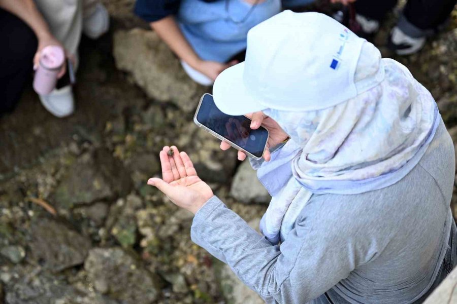 Mersin’de Biyolojik Çeşitlilik Mınka İle Kayıt Altına Alınıyor
