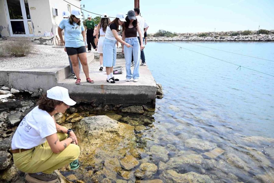Mersin’de Biyolojik Çeşitlilik Mınka İle Kayıt Altına Alınıyor