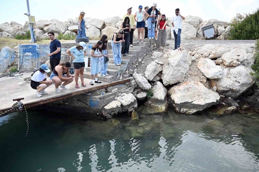 Mersin’de Biyolojik Çeşitlilik Mınka İle Kayıt Altına Alınıyor