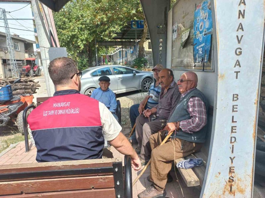 Manavgat’ta Yetiştirilip 35 Ülkeye İhraç Edilen Burmahan Kirazı İçin Coğrafi İşaret Çalışması