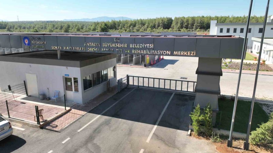 Büyükşehir’den Can Dostlara 84 Bin Metrekarelik Yaşam Alanı