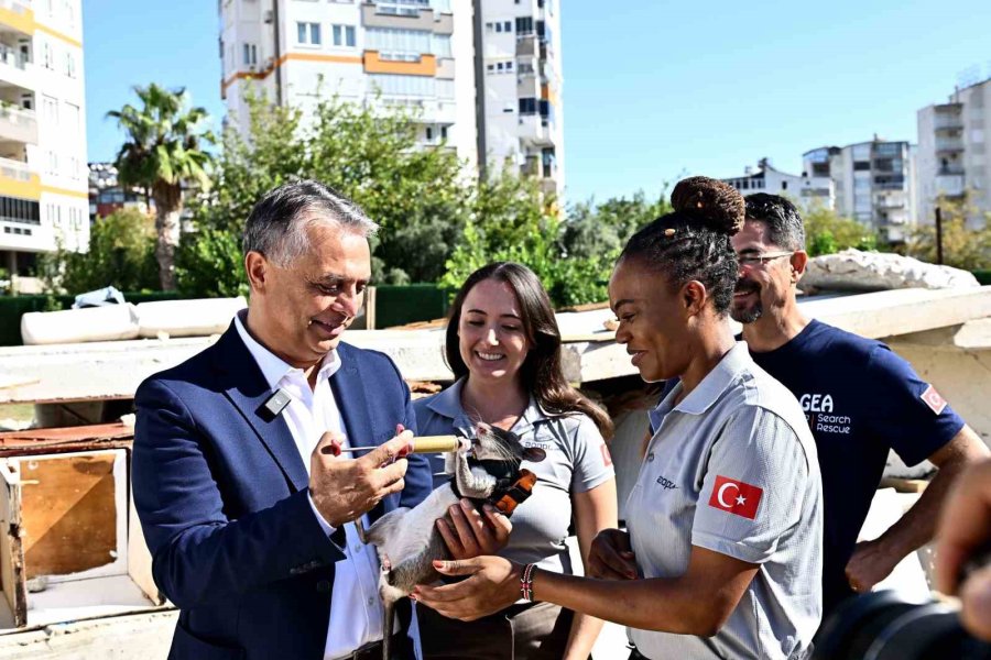 Kahraman Fareler, Enkaz Altında Kalanları Kurtarmaya Giden Ekiplerin ‘gözü’ Olacak