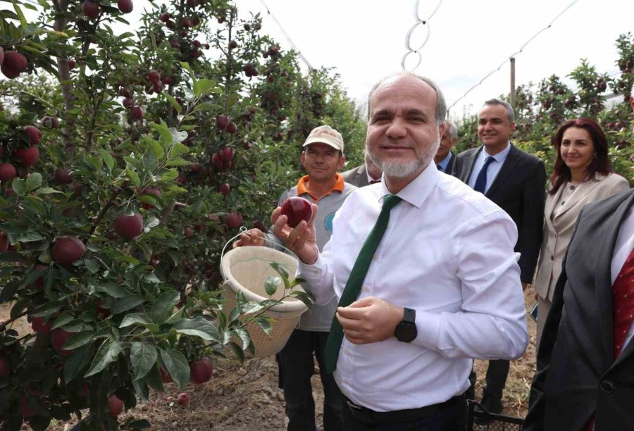Nöhü’de 200 Tonun Üzerinde Elma Rekoltesi