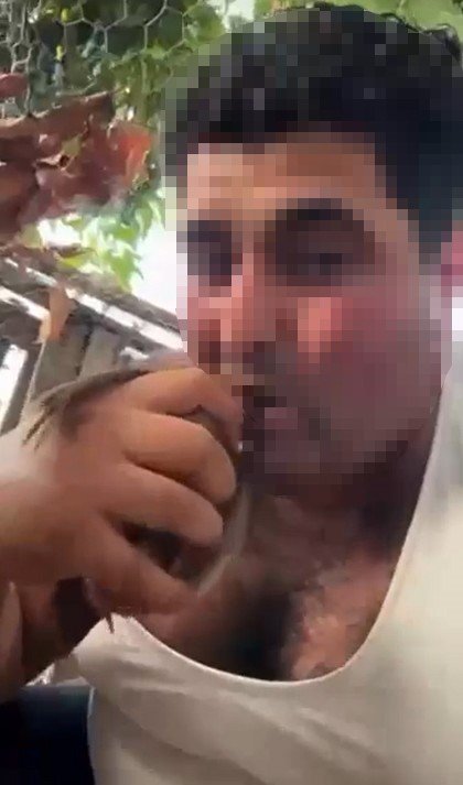 Alanya’da Kuşlara Yönelik Vahşet Kamerada: Birinin Kafasını Ağzıyla, Diğerinin Bıçakla Kesti