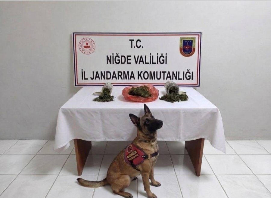 Niğde’de Bir Haftada 51 Aranan Şahıs Yakalandı
