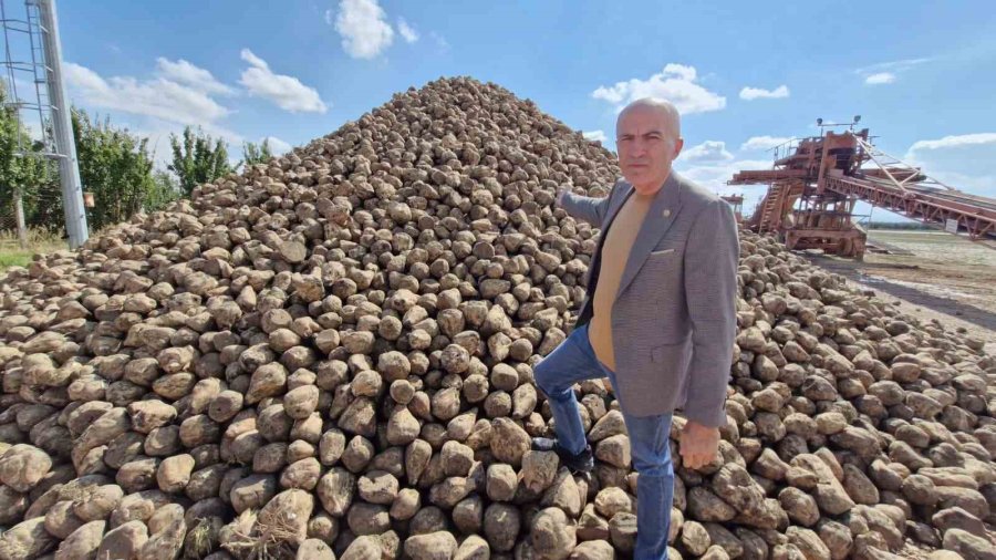 Karaman’da Şeker Pancarı Alım Kampanyası Başladı