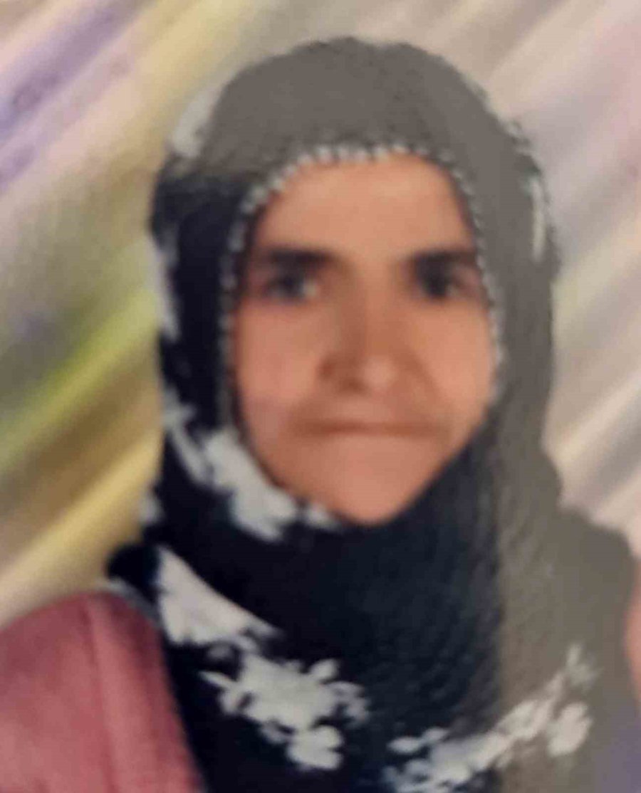 Tarsus’ta Otomobilin Çarptığı Yaşlı Kadın Hayatını Kaybetti