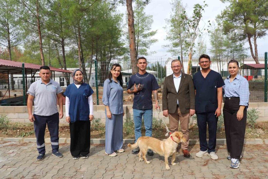 Çilek Ve Duman, 8 Arkadaşıyla Birlikte Yeni Yuvalarına Kavuştu