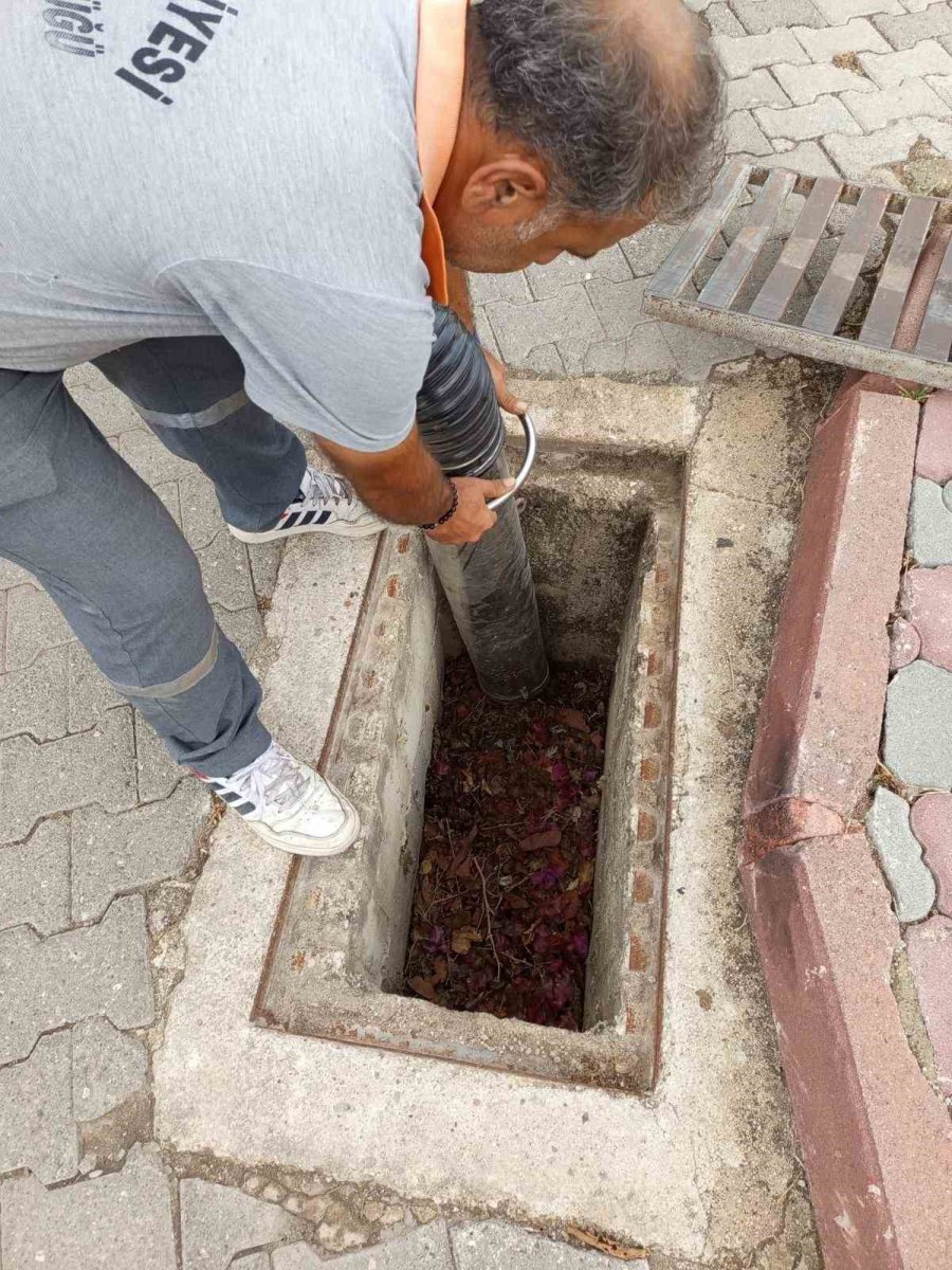 Kemer’de Mazgal Temizliği Çalışmaları Tamamlandı