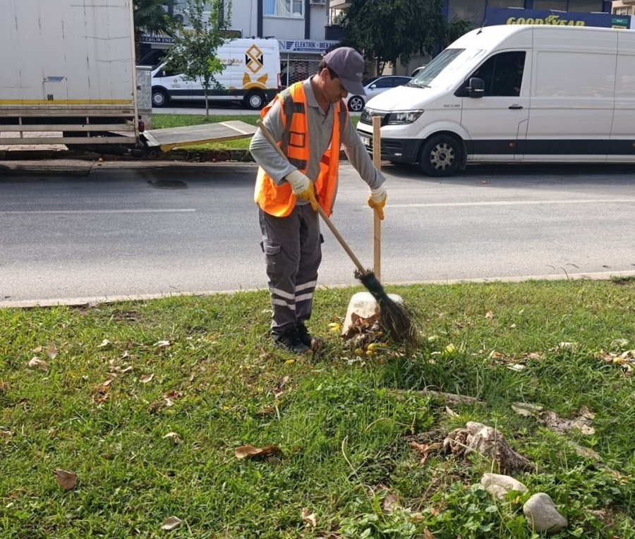 Antalya’da Şiddetli Yağışın Ardından Hasar Tespit Çalışmalarına Başlandı
