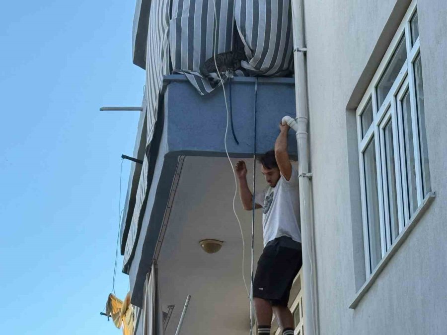 Evini Ateşe Verdi, Kiracısı Canını Hiçe Sayıp Kediyi Kurtardı