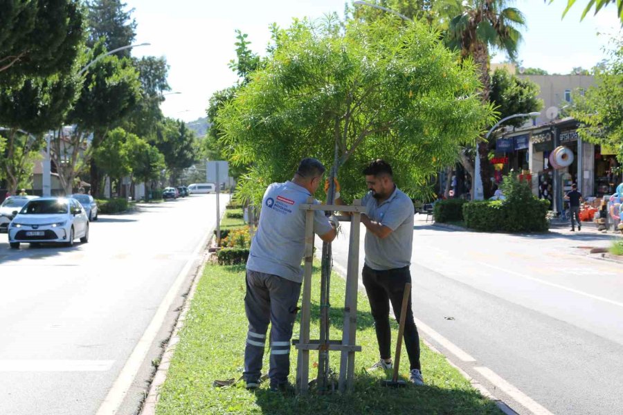 Büyükşehir Belediyesi’nden Demre’de Sel Mesaisi