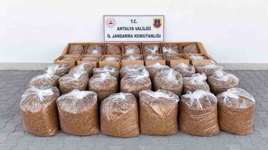 Antalya’da 1 Ton Kaçak Tütün İle 10 Bin Makaron Ele Geçirildi