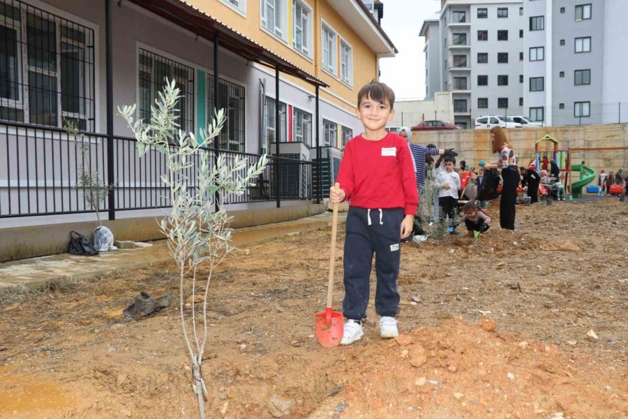 Alanya’da Minik Eller Zeytin Fidanlarını Toprakla Buluşturdu