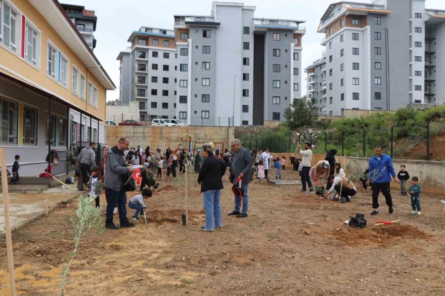 Alanya’da Minik Eller Zeytin Fidanlarını Toprakla Buluşturdu