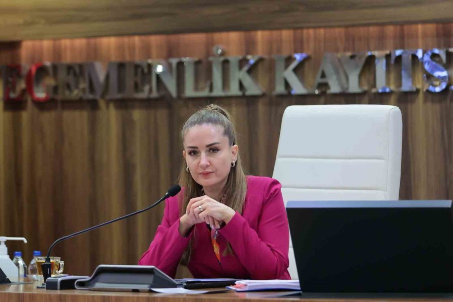 Başkan Vekili Özdemir: "altıntaş Çanağında Biriken Suyu Denize Ulaştırmak İstiyoruz"