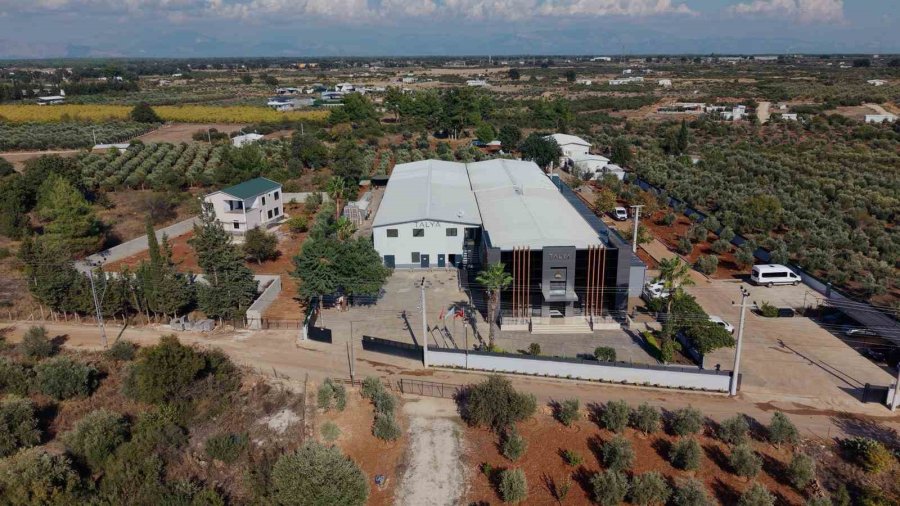 Oyak Şirketi Talya Bitkisel’den Üretim Ve İhracatta Büyüme Hamlesi