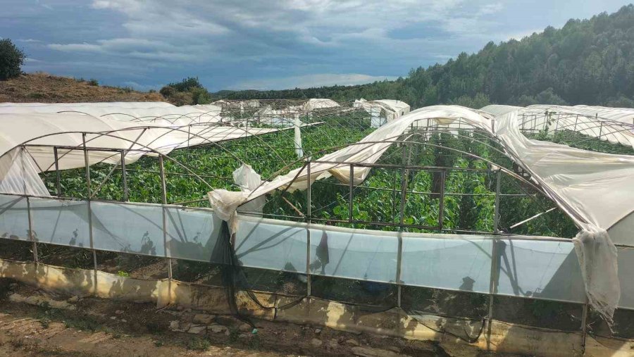Manavgat’ta Hortum Seraları Yerle Bir Etti: 15 Dönüm Tarım Arazisi Zarar Gördü