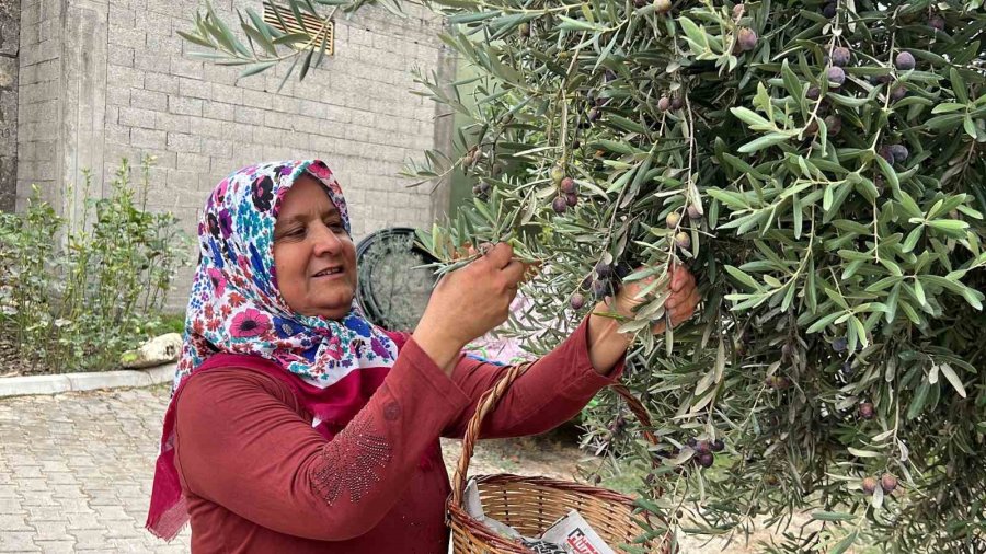Sosyal Medyada 400 Bin Takipçiye Ulaştı, Yarışmada 1 Milyon 400 Bin Tl Kazandı