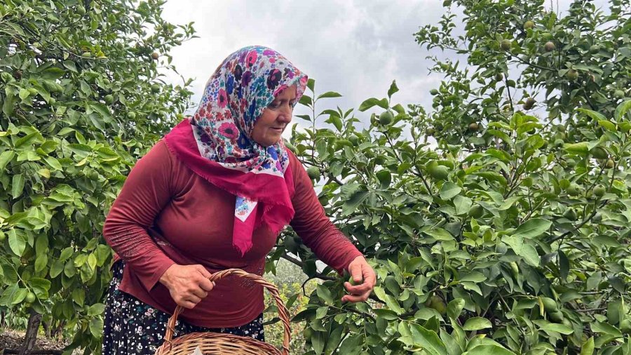 Sosyal Medyada 400 Bin Takipçiye Ulaştı, Yarışmada 1 Milyon 400 Bin Tl Kazandı