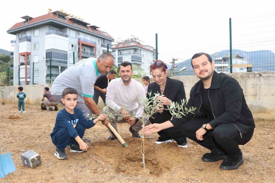 Alanya’da Minik Eller Zeytin Fidanlarını Toprakla Buluşturdu