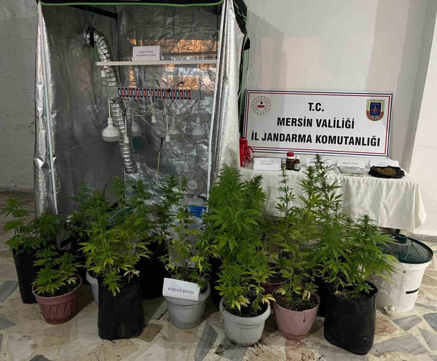 Evde Özel Bölme Çıktı: Uyuşturucu Üreten Şüpheliler Yakalandı