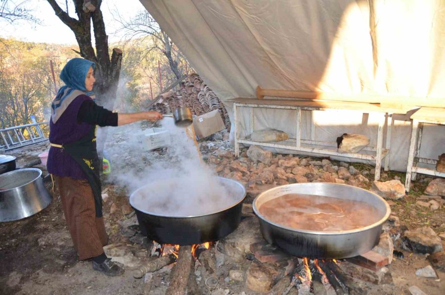 5 Kilo Kozalak 1 Kilo Pekmeze Dönüşüyor ,kilogramı 500 Liradan Satılıyor