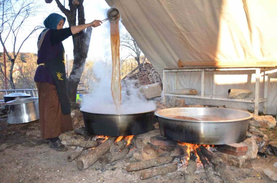5 Kilo Kozalak 1 Kilo Pekmeze Dönüşüyor ,kilogramı 500 Liradan Satılıyor