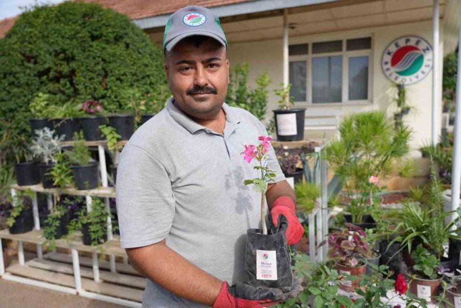 Antalya’nın Dört Bir Yanı Kepez’de Yetiştirilen Çiçeklerle Renkleniyor