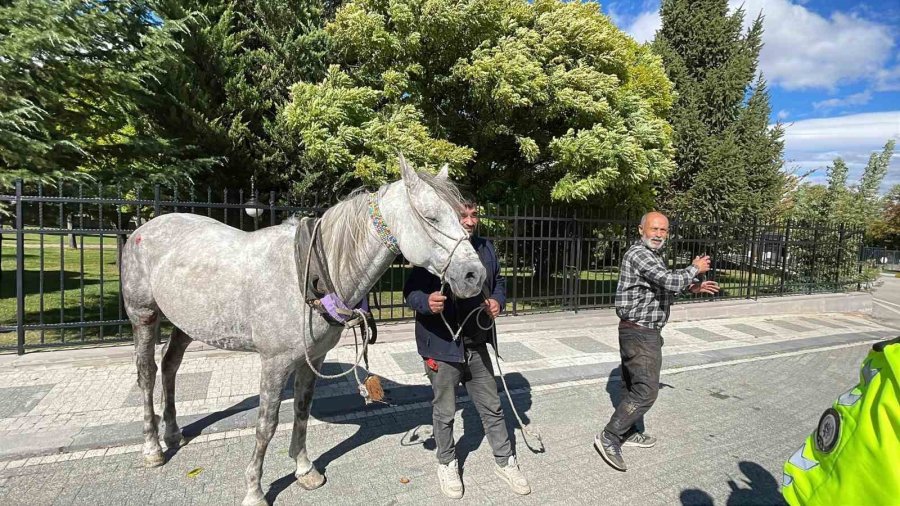 Karaman’da Firari Atın Otomobile Çarptığı Anlar Kameraya Yansıdı