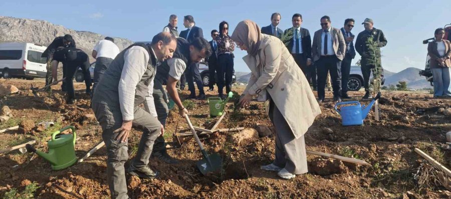Silifke’de Şehit Savcı Mehmet Selim Kiraz Hatıra Ormanı Yeniden Yeşilleniyor