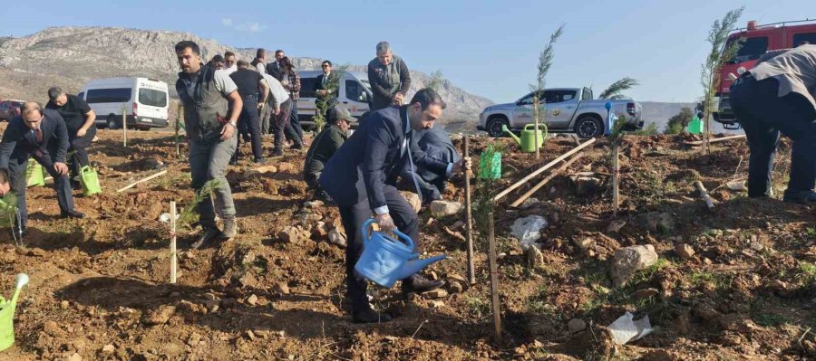 Silifke’de Şehit Savcı Mehmet Selim Kiraz Hatıra Ormanı Yeniden Yeşilleniyor