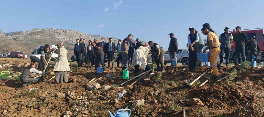 Silifke’de Şehit Savcı Mehmet Selim Kiraz Hatıra Ormanı Yeniden Yeşilleniyor