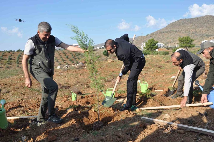 Silifke’de Şehit Savcı Mehmet Selim Kiraz Hatıra Ormanı Yeniden Yeşilleniyor