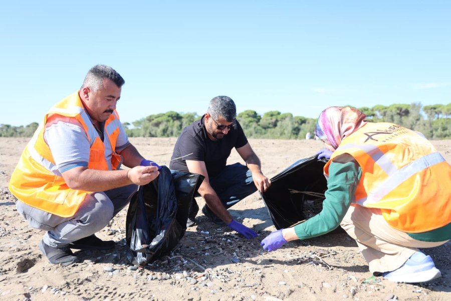 Kumköy Sahili’nde Temizlik Çalışması