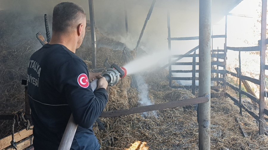 Antalya’da 2 Yıl Arayla İkinci Kez Yanan Ahırda Hayvanlar Telef Oldu