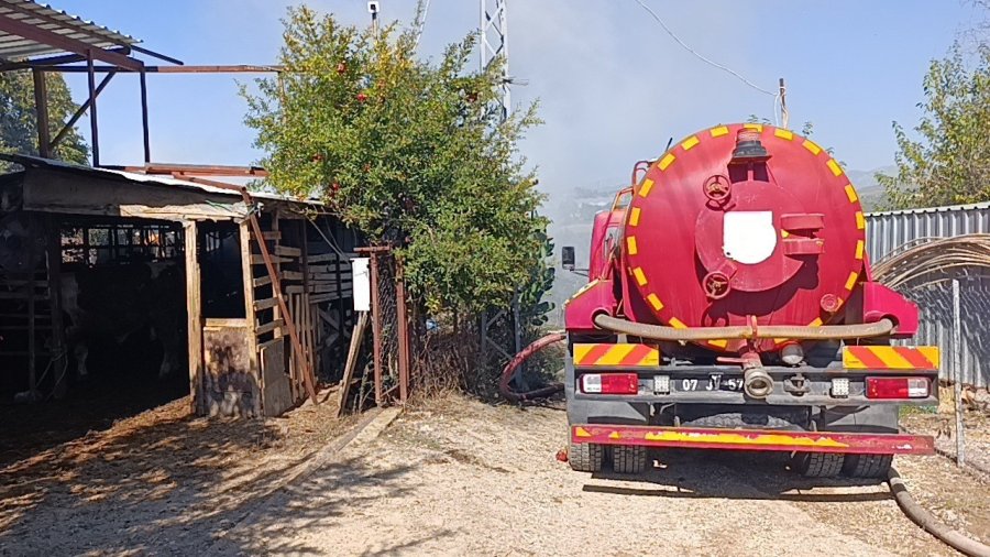 Antalya’da 2 Yıl Arayla İkinci Kez Yanan Ahırda Hayvanlar Telef Oldu