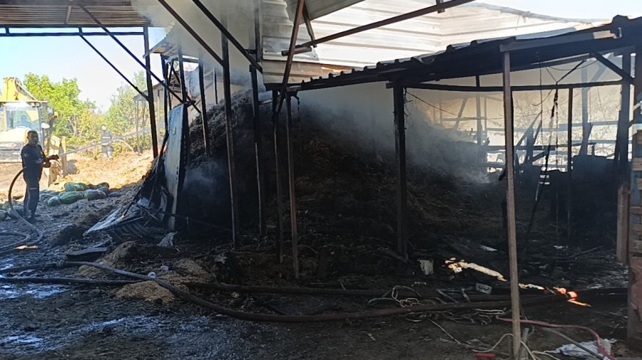 Antalya’da 2 Yıl Arayla İkinci Kez Yanan Ahırda Hayvanlar Telef Oldu