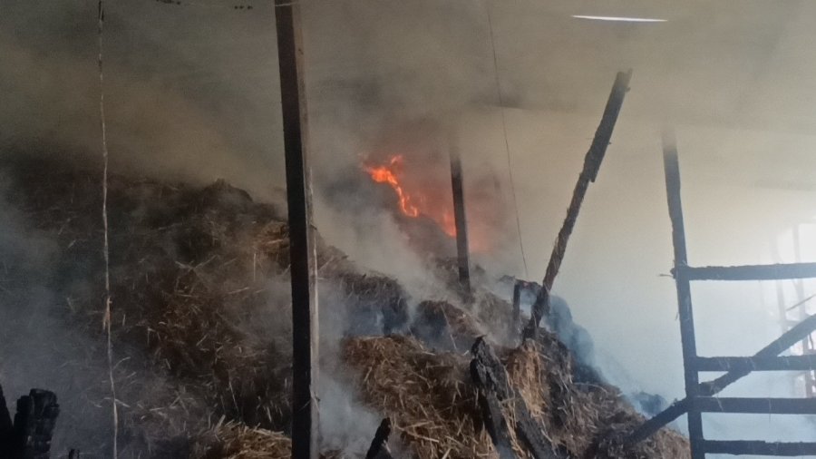 Antalya’da 2 Yıl Arayla İkinci Kez Yanan Ahırda Hayvanlar Telef Oldu