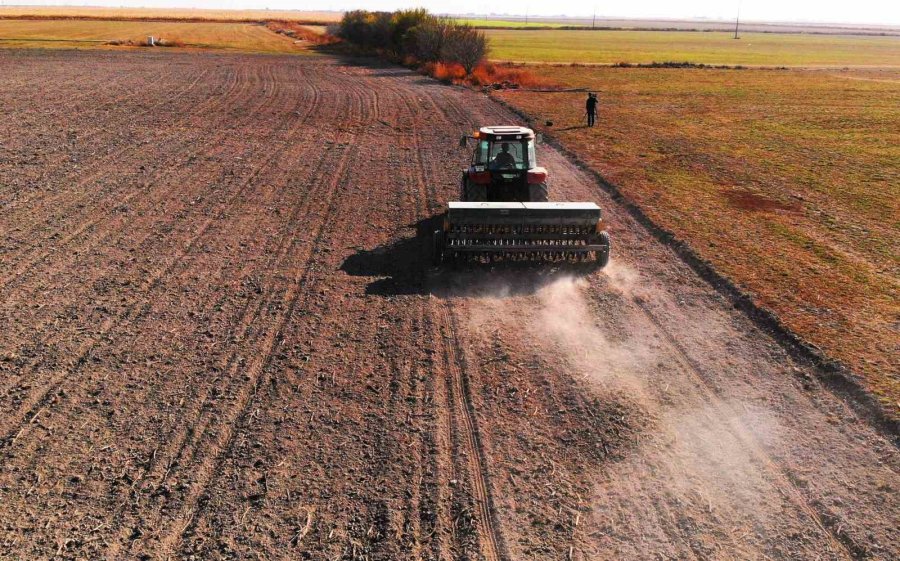 Hububat Ekim Sezonu İçin Kritik Uyarı