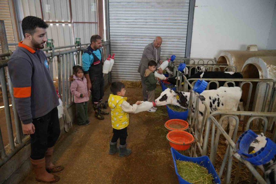 Niğde’de Minik Öğrenciler Hayvansal Üretimi Yerinde Öğrendi