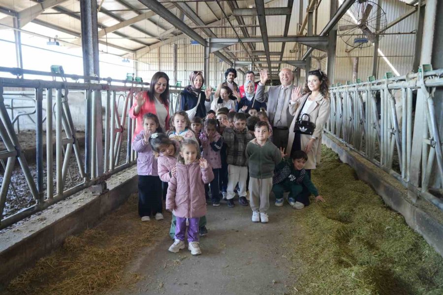Niğde’de Minik Öğrenciler Hayvansal Üretimi Yerinde Öğrendi