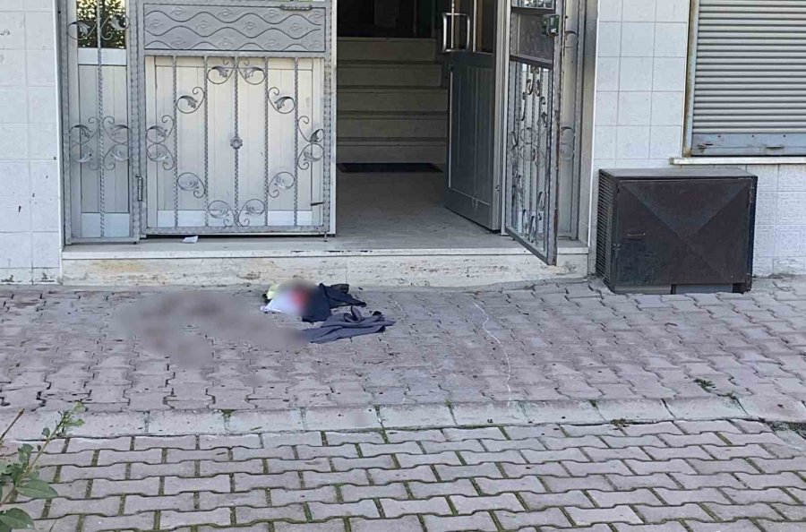 Konya’da Kedi Tüyü Silkeleme Tartışması Kanlı Bitti: 2 Yaralı