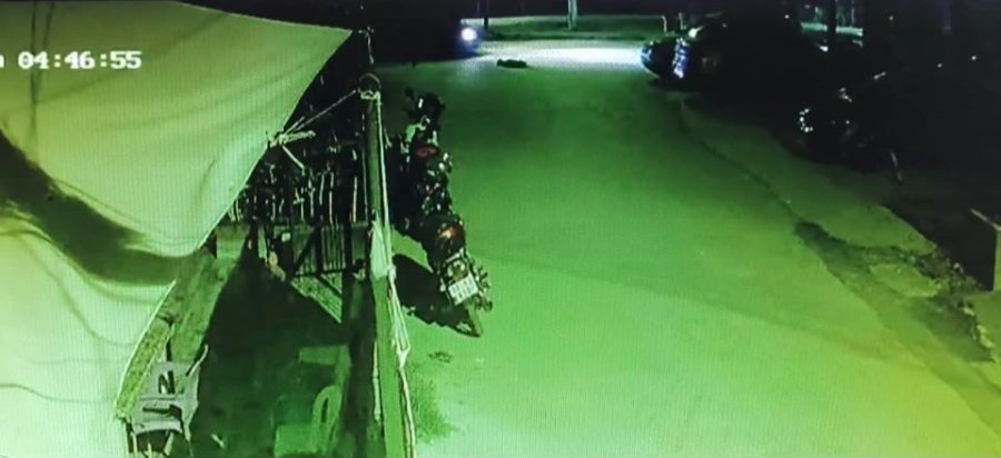 Araçla Ezilen Köpek Kurtarılamadı