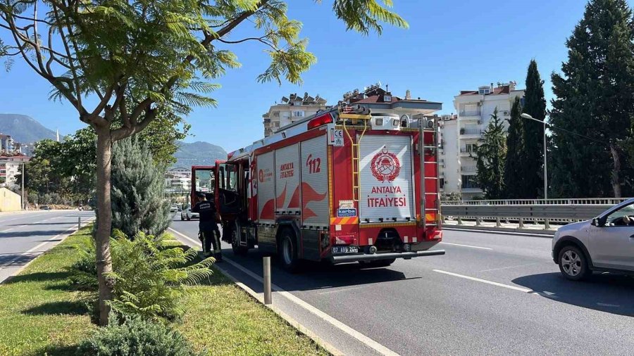 Aydınlatma Direğine Çarpan Otomobilin Sürücüsü Kaçtı: 1 Yaralı