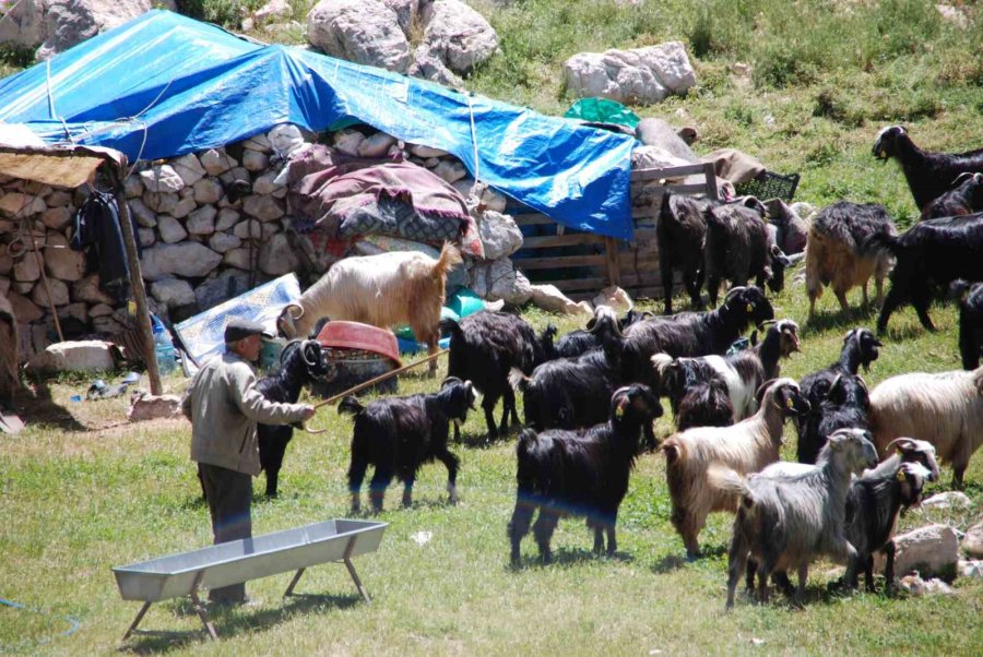 Yörüklerin Toroslar’dan Sahile Dönüş Yolculuğu Başladı